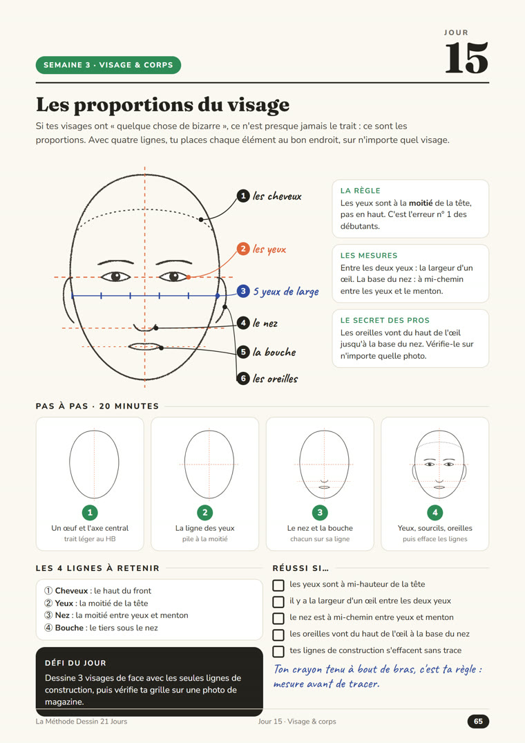 Jour 15 : les proportions du visage